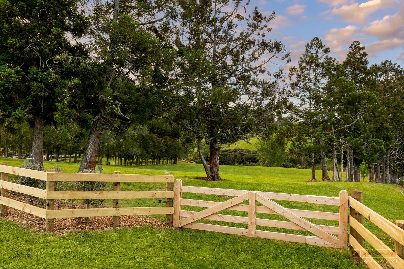 Modern Villa